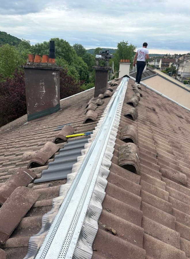Conduits de cheminée sur une toiture